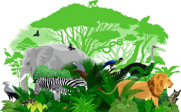 Vector illustration of Vector Africa tropical jungle rainforest illustration with animals