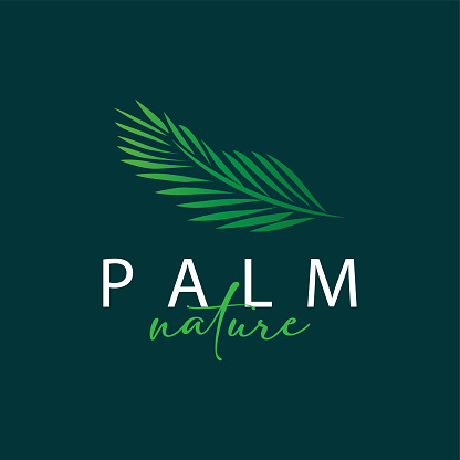 Palm Leaf symbol Design Vector Simple Minimalist Symbol Illustration Template