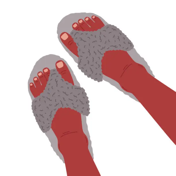 Vector illustration of Female feet wearing home footwear. Women feet with pedicure in fluffy domestic slippers, female cozy house shoes flat vector illustration. Textile house shoes on feet