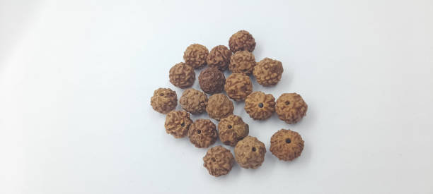 Rudraksha seeds