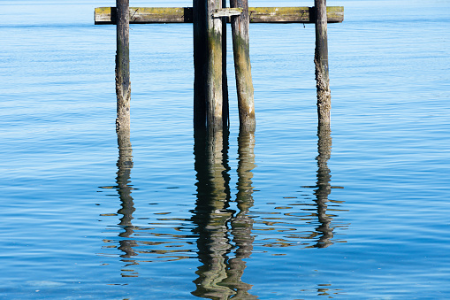 An image of the rippled water reflection of old dock pilings left behind to decay in the blue ocean water.