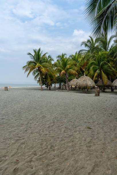 istock Palm kiosks on the caribbean beach 2095385807