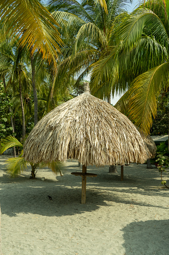 Tropical Paradise Retreat: Palm Umbrellas on Sunset Beach