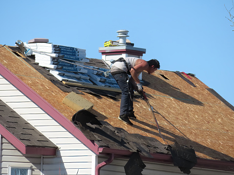 Calgary, Alberta, Canada. Mar 18, 2024. A roof worker taking off the old tone black fiberglass roofing shingles positioned atop a house.