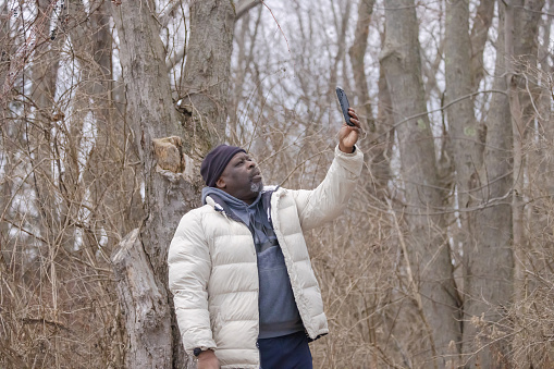 A black man holding his phone in his hand as he looks up in the tree.