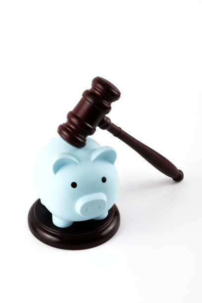 istock Judge's gavel and blue piggy bank 2095488577
