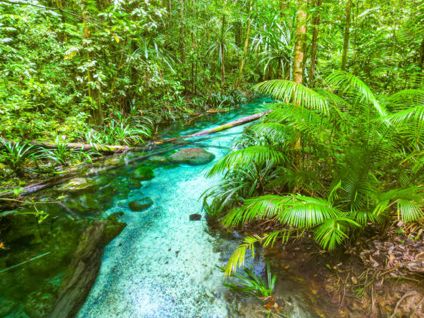 istock Blue river with crystal clear water flowing through the jungle 2095502639