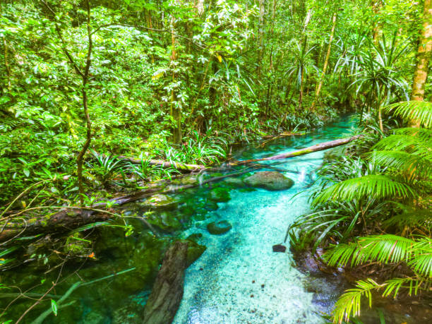 istock Blue river with crystal clear water flowing through the jungle 2095503145
