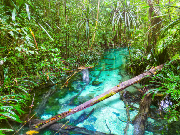 istock Blue river with crystal clear water flowing through the jungle 2095503151