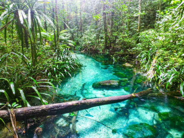 istock Blue river with crystal clear water flowing through the jungle 2095503153