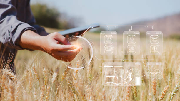 istock Farmer inspects barley and uses agricultural technology to analyze data via tablet Concept of smart agriculture and modern technology, pictogram icon 2095551021