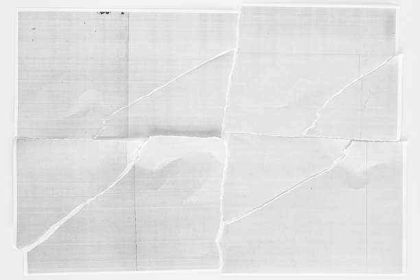 istock Torn Pieces of Copier Paper Arranged on a Plain Background 2095556585