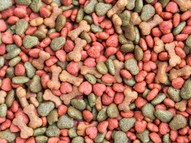 istock Closeup premium dog food background 2095567296