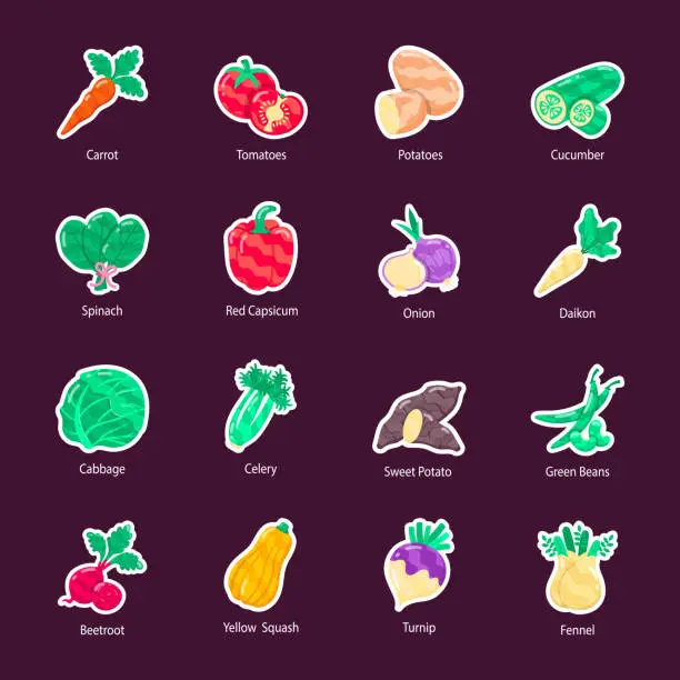 Vector illustration of Set of 16 Flat Vegetables Stickers