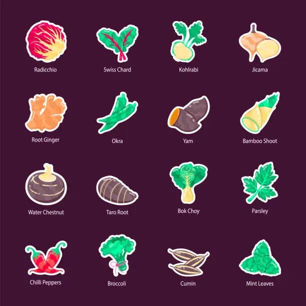 Vector illustration of Set of Leafy and Root Vegetables Flat Stickers