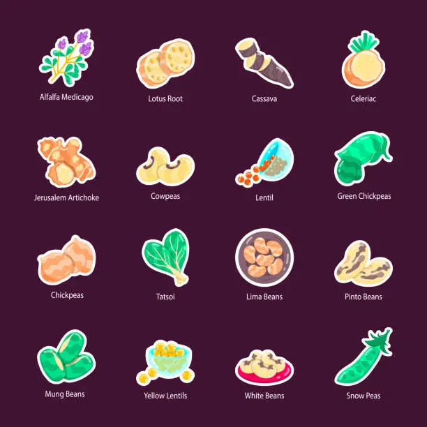 Vector illustration of Flat Style Stickers of Root Vegetables and Legumes