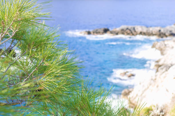 Beautiful beaches of Croatia