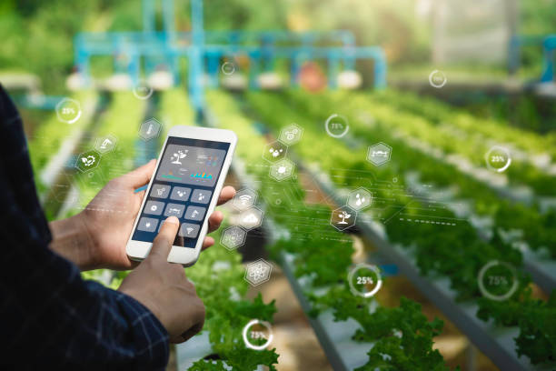 istock Agriculture technology and smart farming. farmer uses applications for the analysis data to monitor, check, control system automation on the network. Modern agricultural innovation. Ai for plantation 2095630126