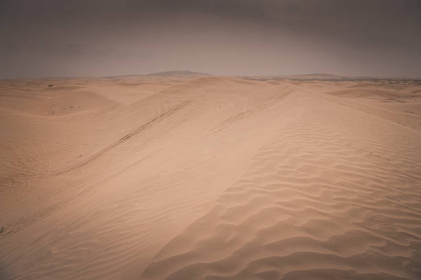 The sand hills in Ba Dan Ji Lin desert of Inner Mongolia, China. The small tree at the foreground