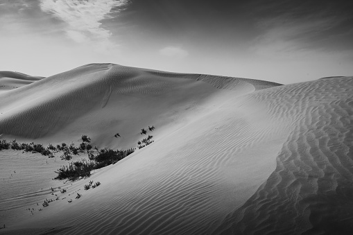 Sand dunes in the Gobi Desert in Inner Mongolia, China. Sandy desert with blue sky and apparent sun, few clouds, extraordinary travel scene. Black and white