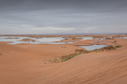 The river going through the desert in Wuhai, Inner Mongolia, China. Background, copy space for text