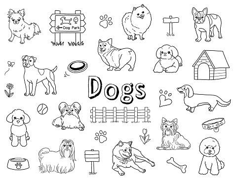 Cute dog hand drawn illustration set