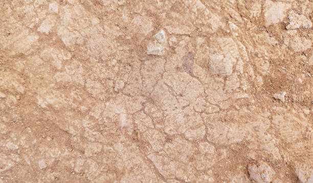 istock The ground has cracks in the top view for the background 2095702365