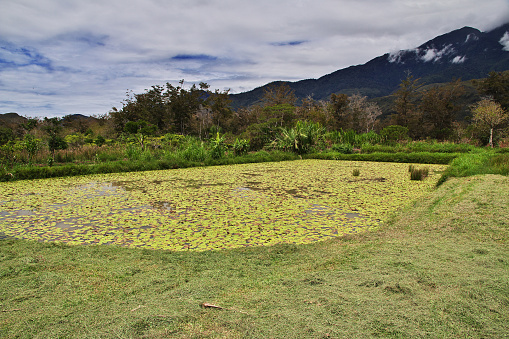 The lake in the valley of Wamena, Papua, Indonesia