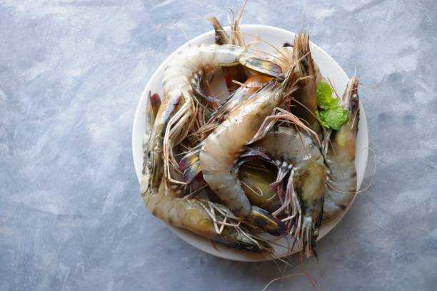 fresh shrimp or black tiger prawns. uncooked on a white ceramic plate with coriander and mint leaves. on a moody background with copy space. kolambi in marathi. - black tiger shrimp photos et images de collection