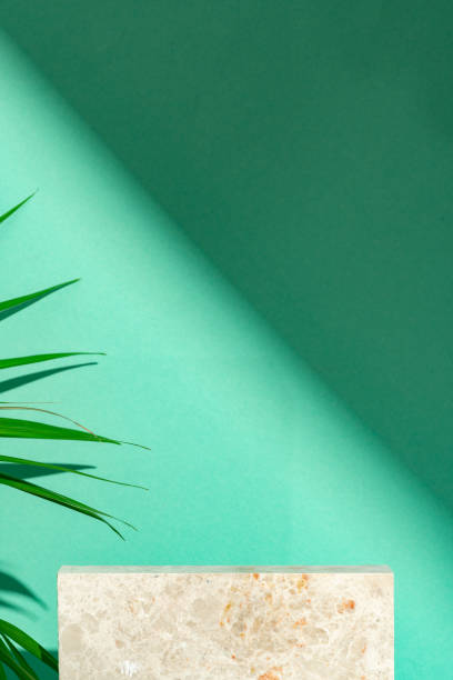 istock Tropical leaves palm tree on a mint background 2095738999