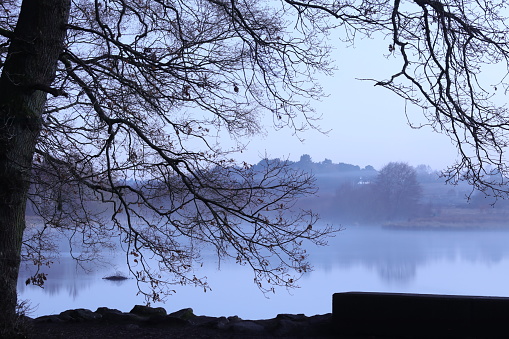 A foggy lake with trees in the foreground