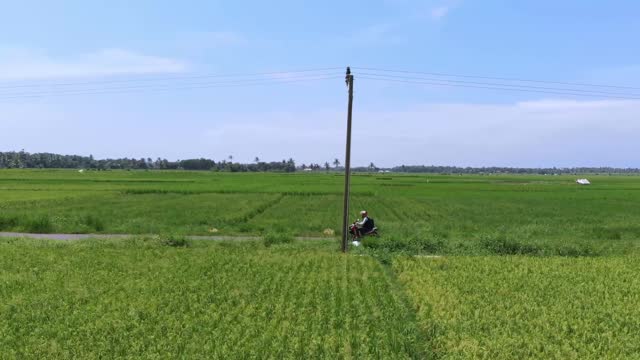 Aerial view of a motorcycle driving on a long country road with a beautiful view of green rice fields and blue sky.