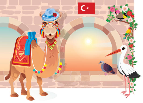 Camel in Cappadocia Turkey Vector Camel in Cappadocia Turkey cappadocia balloon stock illustrations