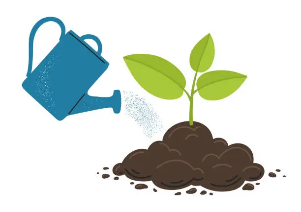 Vector illustration of Watering can pours water on a young plant growth from soil.
