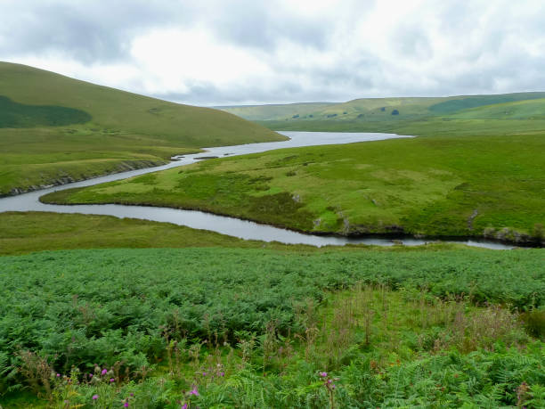 un río serpentea a través de la campiña galesa - welsh culture wales field hedge fotografías e imágenes de stock
