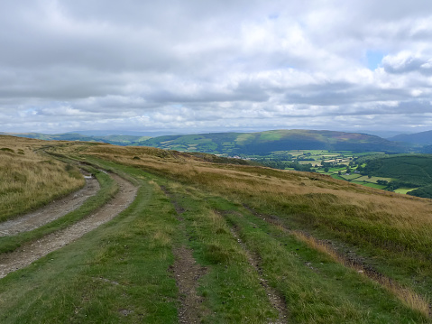 A picturesque dirt road winds through the lush Welsh countryside, bordered by blooming flowers, vibrant heather, and quaint villages nestled among verdant fields and rolling hills.