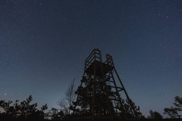 야간 천체 사진 사진. 별이 빛나는 하늘을 배경으로 한 셀리 늪의 전망대. - 5576 뉴스 사진 이미지