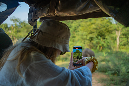 Young woman takes photo of  elephant in forest, Yala National Park