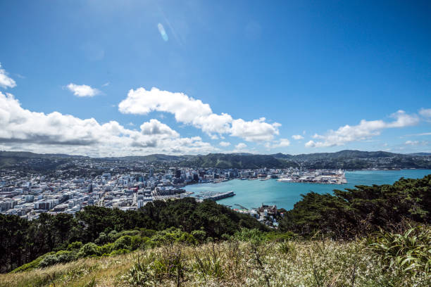 istock Panoramic View of Wellington 2095875707