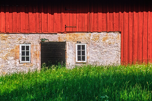 Red barn with high grass at a farmyard