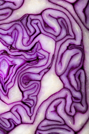 Red cabbage in cross-section with a close-up of curled leaves