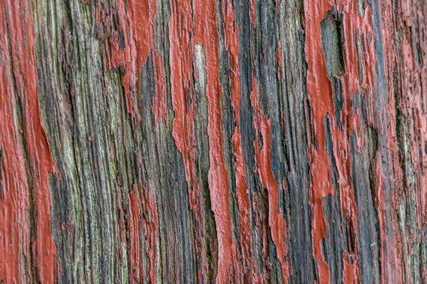 Structure background, old wooden door in macro close-up with red paint peeling off