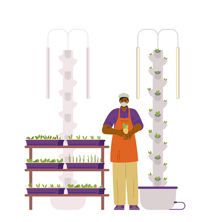 African american farmer holding seedling near aeroponic tower for crop production flat vector illustration.