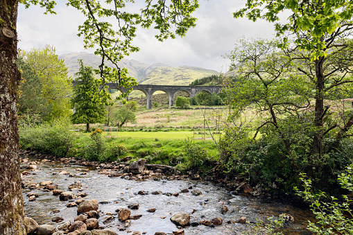 Glenfinnan Viaduct arches gracefully over a lush Scottish glen, framed by verdant trees and a babbling stream, under a soft, diffused light
