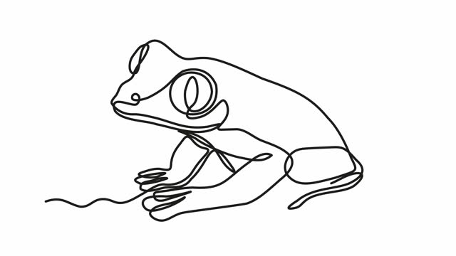 Self drawing animation with one continuous line draw, abstract frog, tree frog, Toad