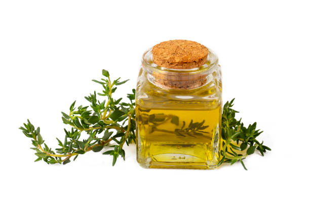 istock Green thyme and thyme oil 2096022467