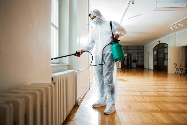 Exterminator Applying Pesticide with Sprayer Exterminator in work spraying pesticide or insecticide with sprayer insecticide stock pictures, royalty-free photos & images