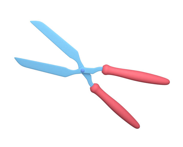 istock 3d hedge shears. Secateurs for the garden isolated on white. A tool for gardening. 3d rendering 2096032496