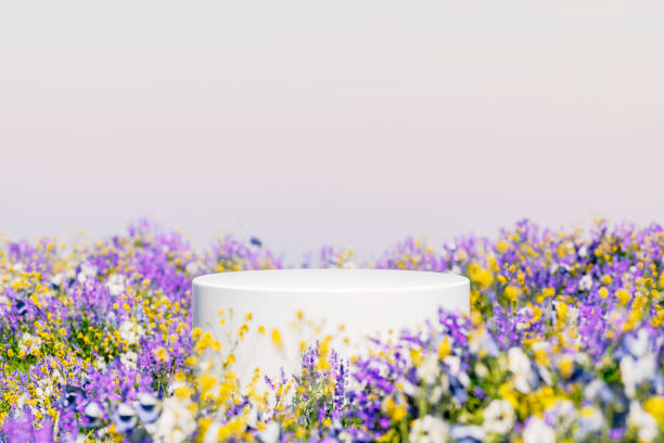istock Natural beauty podium backdrop with spring flower field scene. 3d rendering. 2096035144