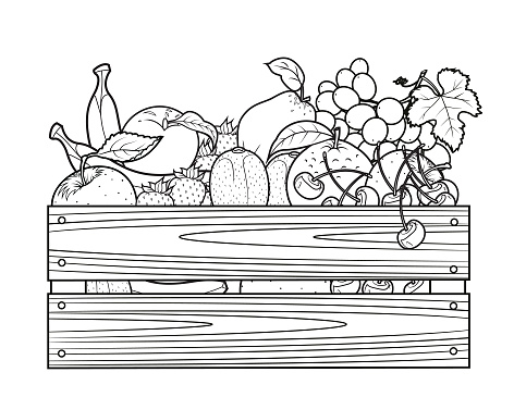 Wooden crate filled with fresh fruits. Vector illustration